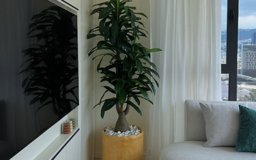 Artificial Plant Rental Dubai, Stylish Greenery Solutions for Modern Spaces