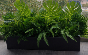 Artificial Potted Plants in UAE