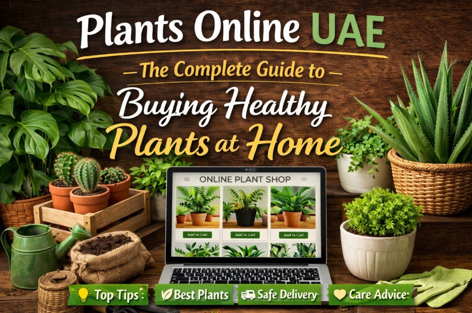 Plants Online UAE