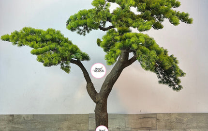 Artificial Office Plants Dubai | Transform Your Workspace with Modern Green Decor