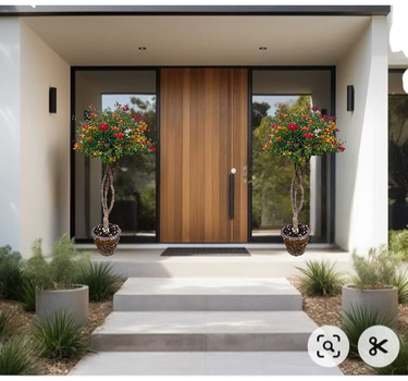 Bougainvillea Single Head 4