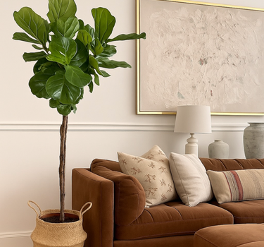 Fiddle Big in Basket