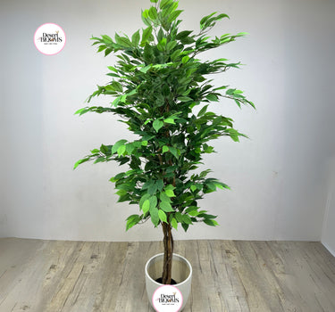 Artificial Benjamina Large 2m