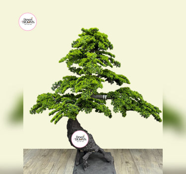 Artificial Bonsai