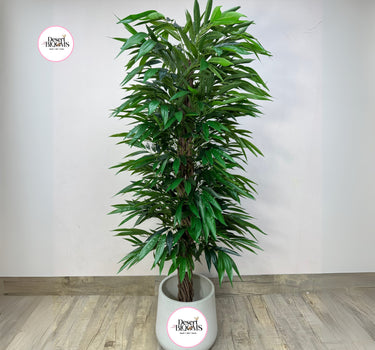 Artificial Amstel King Ficus 1.8m to 2m Home Decor UAE. Green potted plant on a wooden floor with a plain white wall background