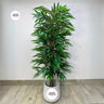 Artificial Amstel King Ficus 1.8m to 2m Home Decor UAE. Green potted plant on a wooden floor with a plain white wall background