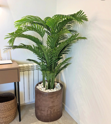 Artificial Areca in Rustic Indoor Plants UAE. Potted plant in a room with a desk and radiator