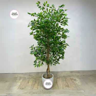 Artificial Benjamina Indoor and Outdoor Plants Dubai. Potted artificial tree with green leaves on a wooden floor against a white wall, branded 'Desert Blooms'.