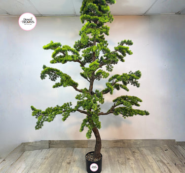 Artificial Bonsai (2.5m) Indoor and Outdoor Plants Dubai