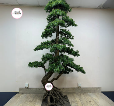 Artificial Bonsai 2.5m to 3m Premium Outdoor Plants Dubai