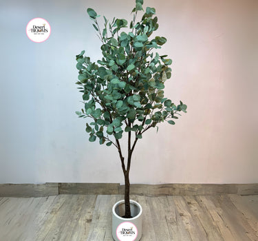 Artificial Eucalyptus Plant Shop Dubai. Artificial eucalyptus tree in a pot with 'Desert Blooms' branding on a plain background.