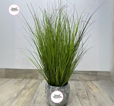 Artificial Green Grass Home Decor UAE. Potted plant with decorative pot on a wooden floor, featuring 'Desert Botanicals' branding.