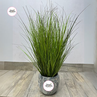 Artificial Green Grass Home Decor UAE. Potted plant with decorative pot on a wooden floor, featuring 'Desert Botanicals' branding.