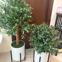 Artificial Olive Plant with Plant Stand, UAE. Two potted plants on stands against a wooden door.