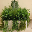 Artificial Plant Combo in Rectangle Pot Plants UAE. Assorted green plants in a white container on a light-colored floor.