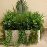 Artificial Plant Combo in Rectangle Pot Plants UAE. Assorted green plants in a white container on a light-colored floor.