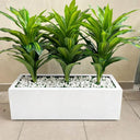 Artificial Plant Dracaena in Rectangle Pot Indoor Plants Dubai. Three green leafy plants in a white rectangular planter with decorative stones on a beige floor.