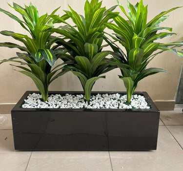 Artificial Plant Dracaena in Rectangle Pot Indoor Plants UAE. Three green leafy plants in a black rectangular planter with white stones on a tiled floor.