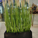 Artificial Plant Grass in Rectangle Pot Plants UAE. Artificial grass in a black planter with a store interior background