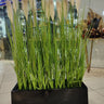Artificial Plant Grass in Rectangle Pot Plants UAE. Artificial grass in a black planter with a store interior background