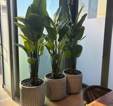 Artificial Travellers Palm Indoor Plants UAE. Three potted plants on a table with a cityscape view through large windows.