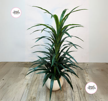 Artificial Yukka Indoor Cheap Plants UAE. Potted plant on a wooden surface with 'Desert Blooms' logo in corners.
