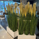 Artificial plant privacy plant in rectangle Plants UAE. Decorative potted plants in a modern indoor setting