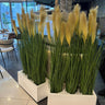 Artificial plant privacy plant in rectangle Plants UAE. Decorative potted plants in a modern indoor setting
