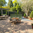 Ehretia Microphylla Hedge Shape 1 m 2