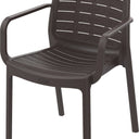 Brown Chair in UAE. Brown plastic chair with armrests on a white background