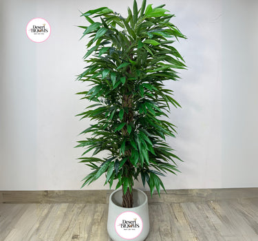 Artificial Amstelking Ficus 1.8m to 2