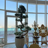 Giant Bonsai Tree S Shape Potted Plants UAE. Potted bonsai tree in a room with large windows overlooking a cityscape.