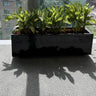 Office Plants in Rectangle Pot Plants UAE. Black planter with green plants on a city street