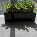 Office Plants in Rectangle Pot Plants Dubai. Black planter with green plants on a city street
