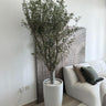 Olive Tree Large Ceramic Pot. Potted plant in a modern living room with a white sofa and decorative pillows.