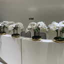 Orchid Arrangement Indoor Plants UAE. Decorative white flowers in black pots on a white table with gray chairs in the background.