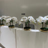 Orchid Arrangement Indoor Plants UAE. Decorative white flowers in black pots on a white table with gray chairs in the background.