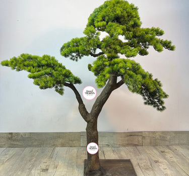 Premium Artificial Bonsai Plants Dubai. Artificial bonsai tree on a wooden floor with a plain white wall background