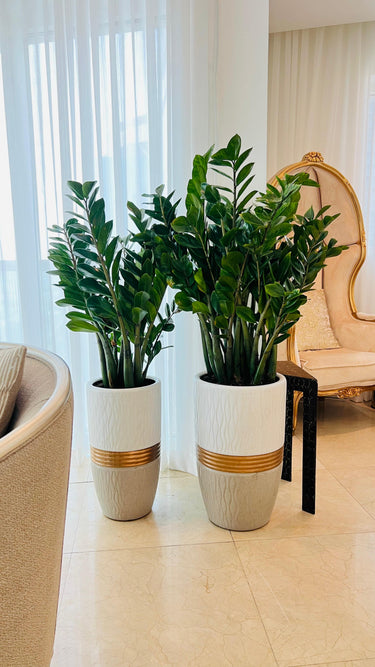 Zizi Plant Bundle (2 Pieces) in Premium Ceramic Pots, Dubai. Two potted plants in decorative pots on a tiled floor with a chair and curtains in the background.